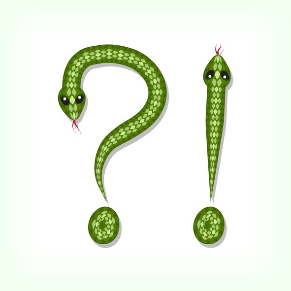 Cartoon of snakes shaped like a question mark and an exclamation mark. 